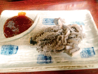 生センマイ